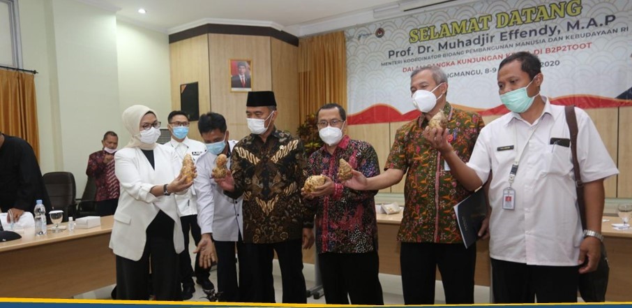Korporasi Petani dan Tata Niaga Tanaman Obat